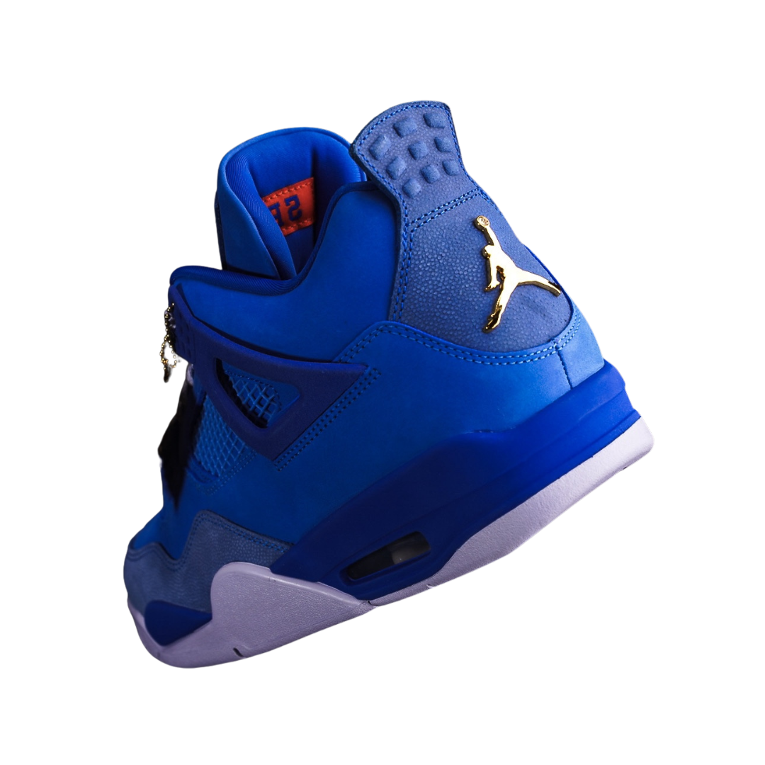 Nike Air Jordan 4 PE x Florida Gators (2025)