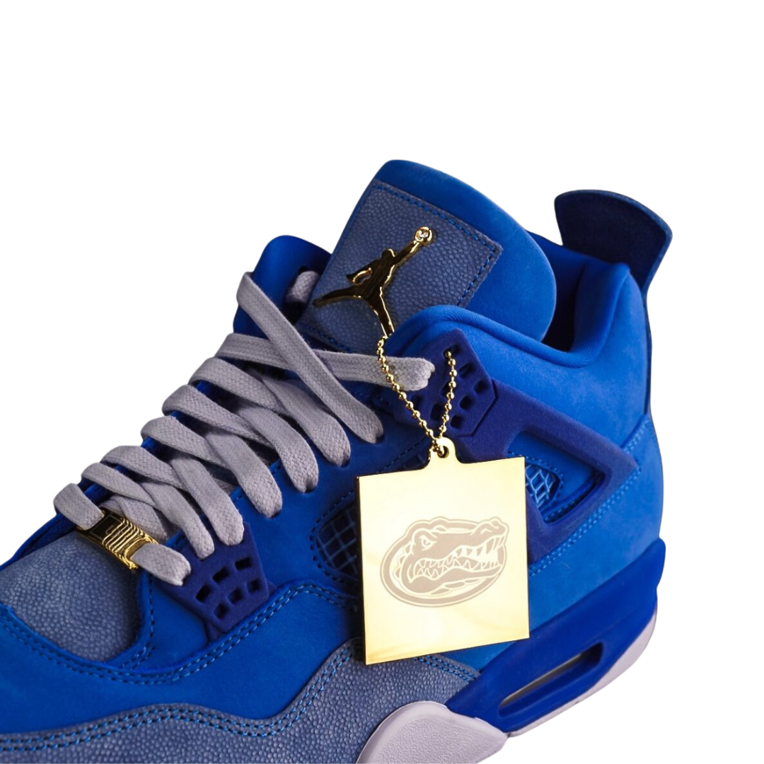 Nike Air Jordan 4 PE x Florida Gators (2025)