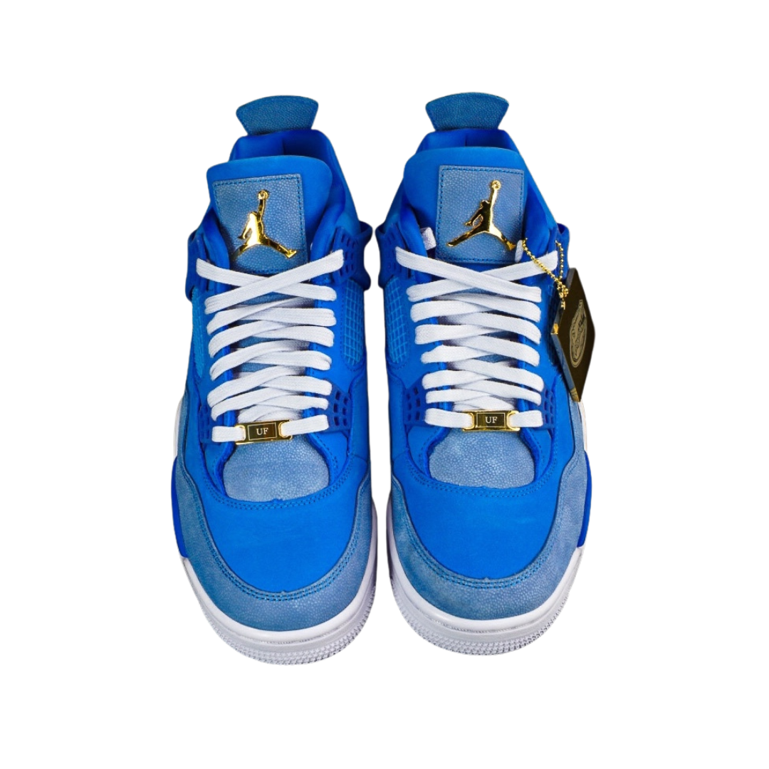 Nike Air Jordan 4 PE x Florida Gators (2025)