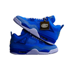 Nike Air Jordan 4 PE x Florida Gators (2025)