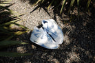 Nike Air Jordan 4 Retro 'Forget Me Not' Wmns